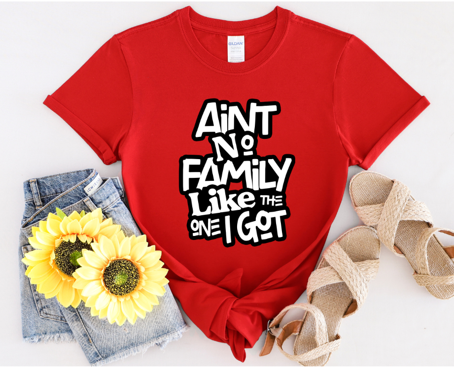 Ain't No Family T-Shirt