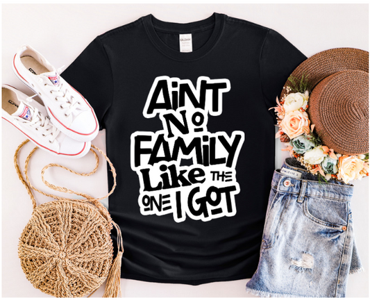 Ain't No Family T-Shirt T-Shirt